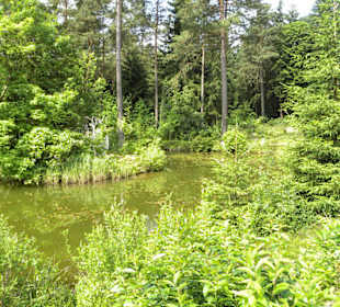 Iserhatsche Bispingen