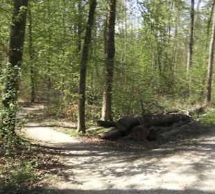Wanderweg Hochgehwachsen