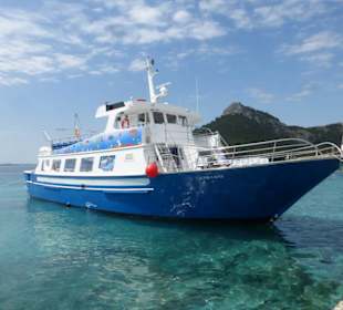 Mit Delfin Negro in der Playa de Formentor