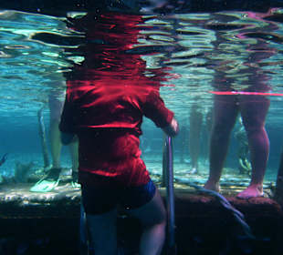 Hotel Sharm Resort