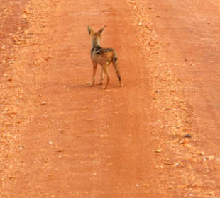 Wir hatten zu warten!!!