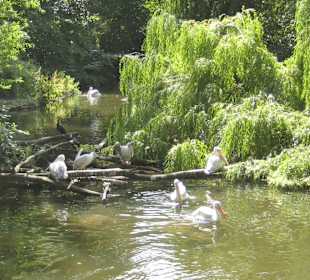 Zoologischer Garten Berlin