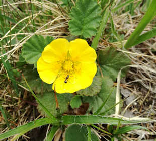 Wandern Sesto / Sexten