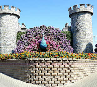 Miracle Garden