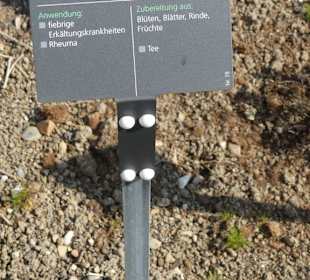 Erläuterungen der Kräuter