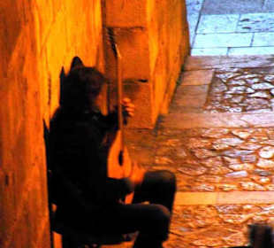 Straßenmusiker in tollen Licht