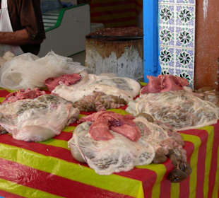 Mittwochsmarkt in Zarzis