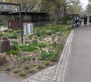Zoologischer Stadtgarten