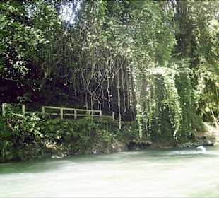 Ausflug auf dem Great River  Jamaica