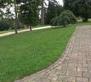 Württemberg Palais Auingen