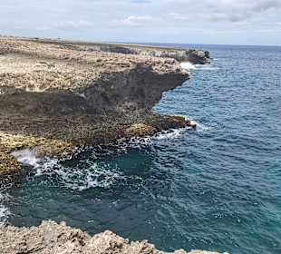 Rundfahrt Insel Bonaire