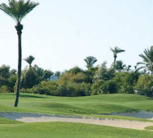 Djerba Palmiers