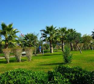 Ende Nov. 2012 Am Strand entlang