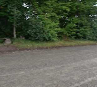 FriedWald Schönbuch