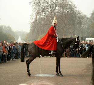 Peinlichkeit in London