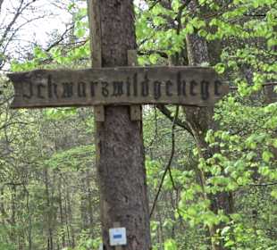 Wildgehege im Rammert