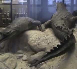 Naturhistorisches Museum