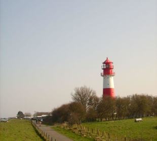 Leuchtturm "Falshöft"