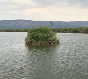 Lake Mburo