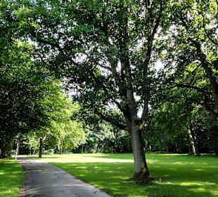 Spaziergang durch den Waller Park