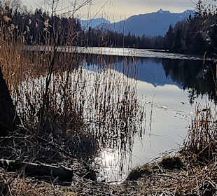 Wandern Murnau am Staffelsee