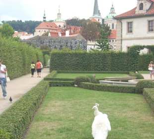 Giardini di palazzo valdstejn