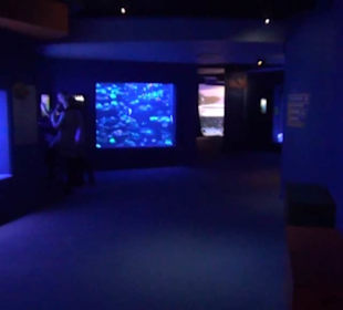 Palma Aquarium