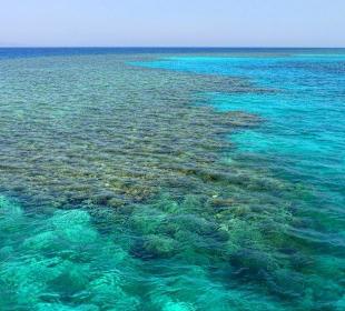 Korallenriff vor Hurghada