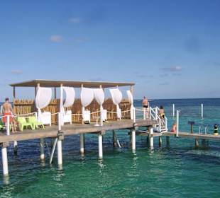 Ausflug ins Marinarium