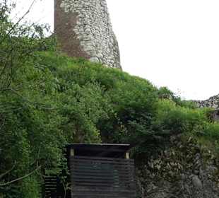 Ruine Burg Kaltenburg