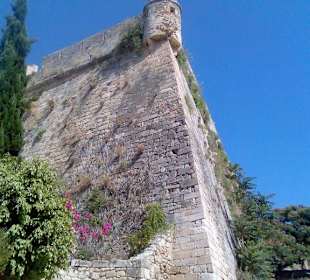 Forteza