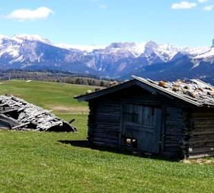 Fotomotive non stopp 