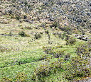 Cotopaxi Nationalpark