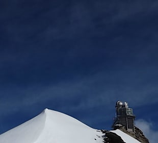 Sphinx und Scheekuppe