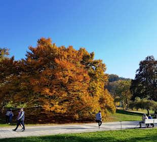 Die Farben, die Wege im Park