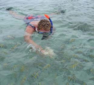 Schnorcheln * Pardies Island*