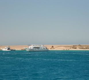 Ausblick auf die Giftuninsel