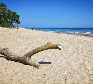 Strand Fehmarn