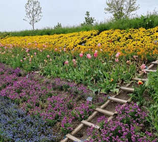 So sehen die Hügel aus Betreten verboten