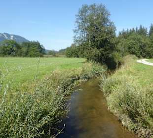 Wandern Murnau am Staffelsee