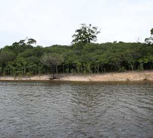 Odnoga Rio Negro