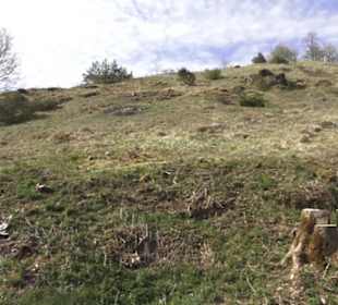 Wanderweg Hochgehswiggert