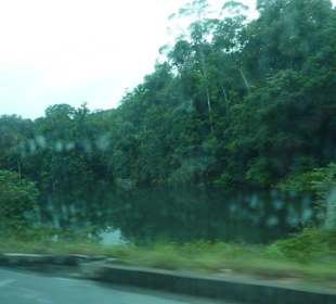 Presidente Figueiredo-Staatsstrasse BR 174 