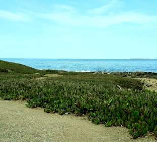Stadtrundgang Punta del Este