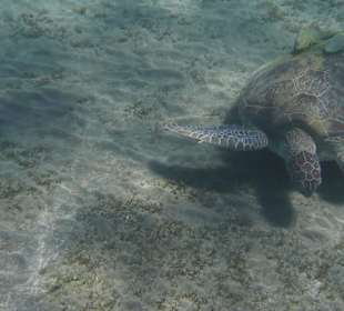 Hotel Sol y Mar Abu Dabbab