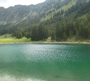Am kleinen See bei der Nebelhorn-Station Seealpe