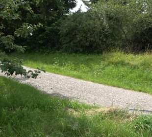 Premiumspazierweg Früchtetrauf-Leisawegle