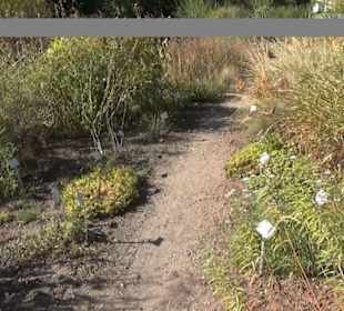 Botanischer Garten 