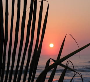 Sonnenaufgang
