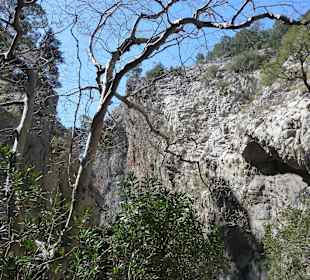 Canyon